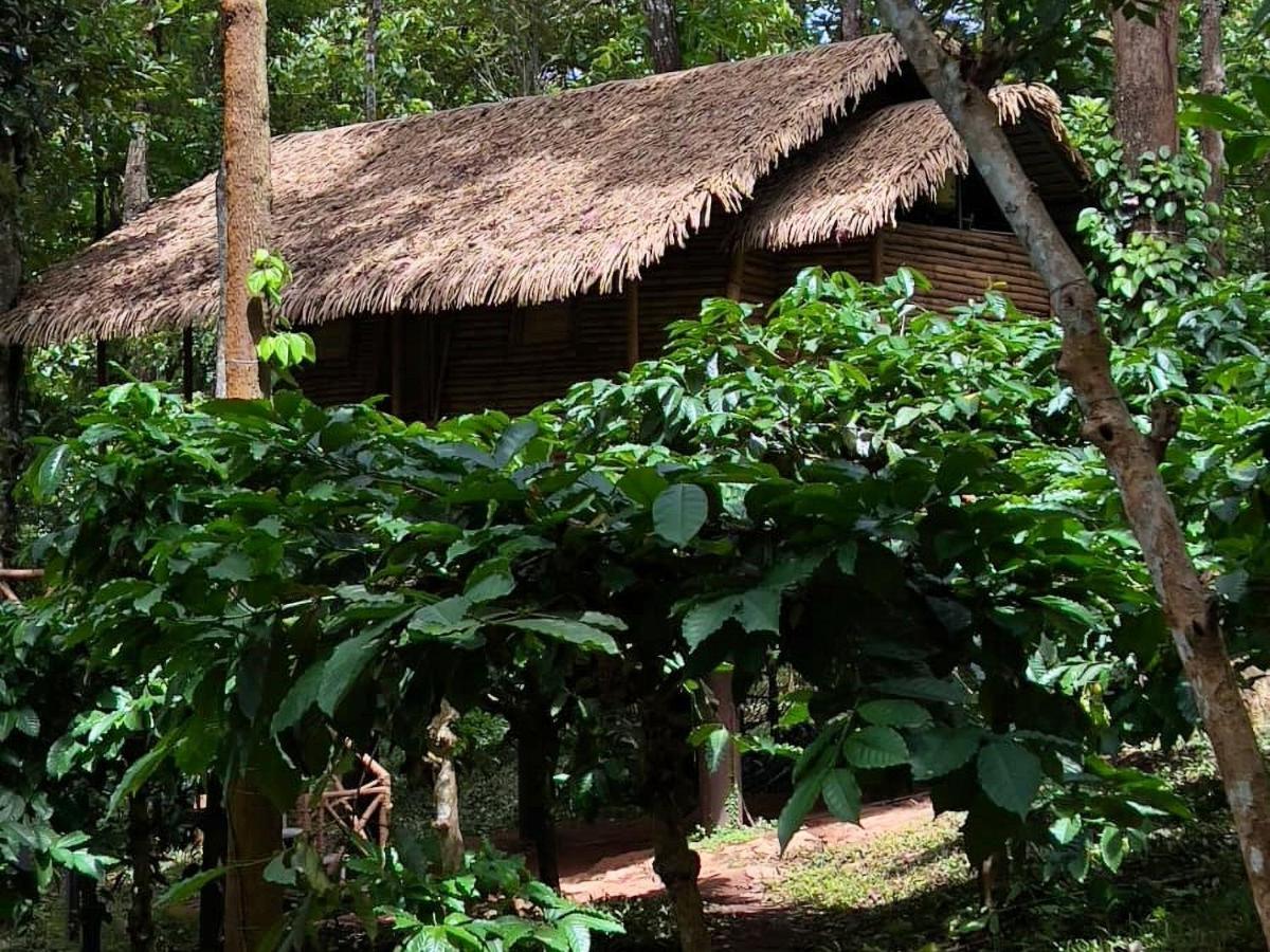 Adrak Mountain Mist Forest Resort Pulpally Exterior photo