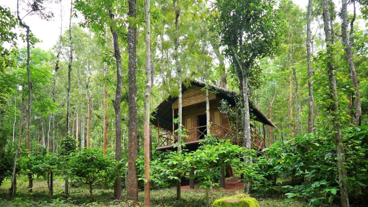 Adrak Mountain Mist Forest Resort Pulpally Exterior photo