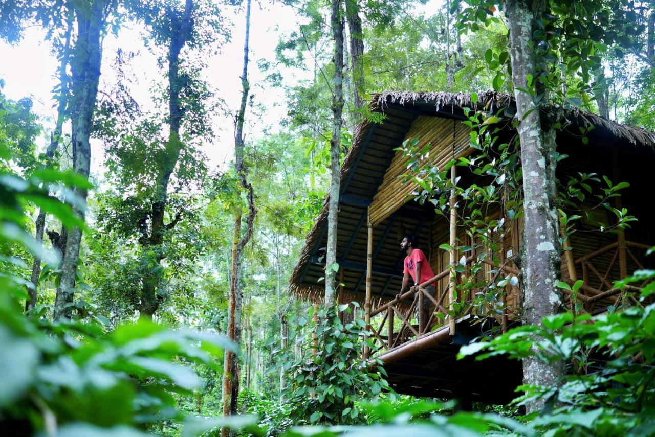 Adrak Mountain Mist Forest Resort Pulpally Exterior photo