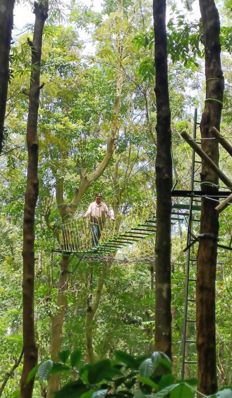 Adrak Mountain Mist Forest Resort Pulpally Exterior photo